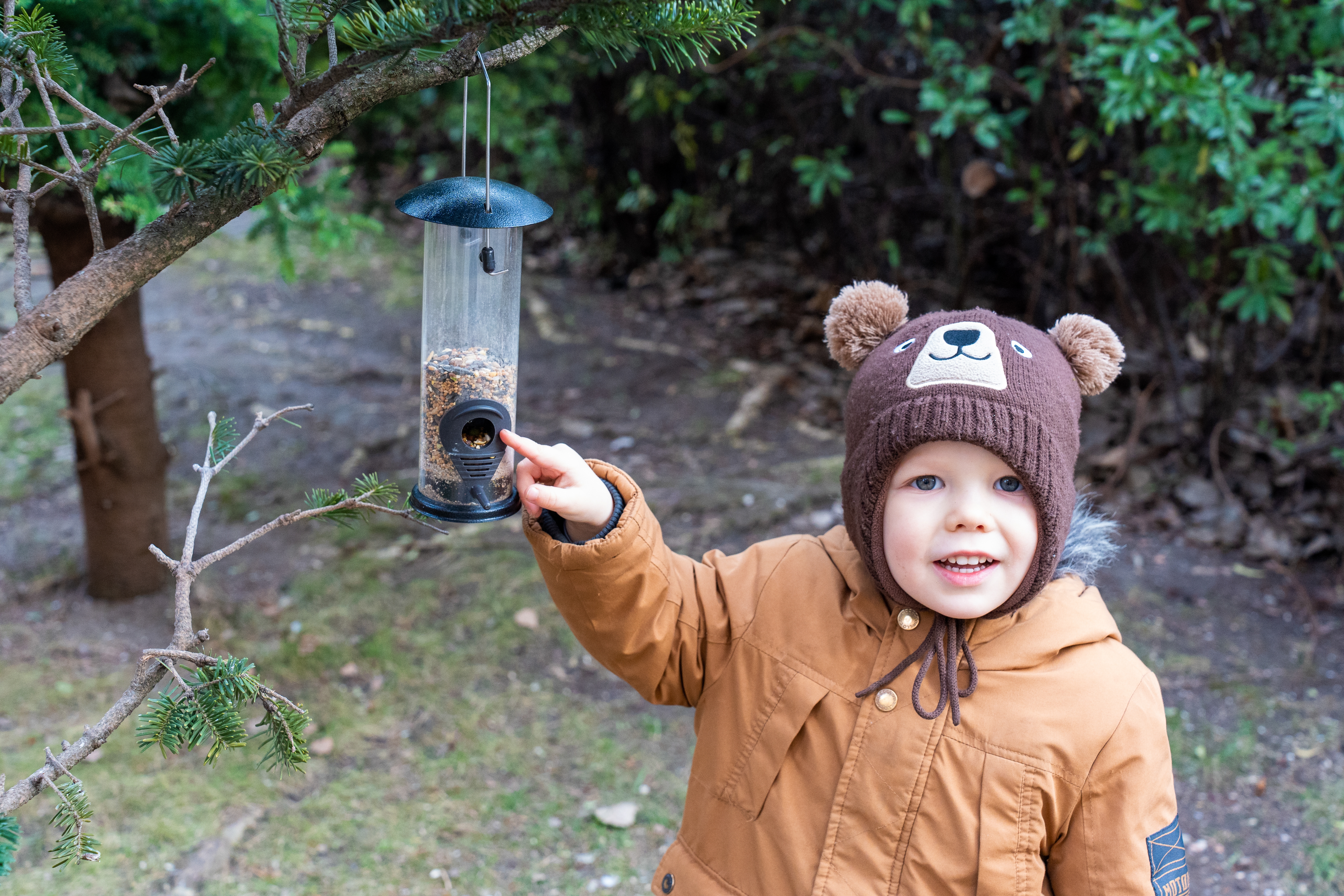 child in bear hat pointing at backyard bird feeder